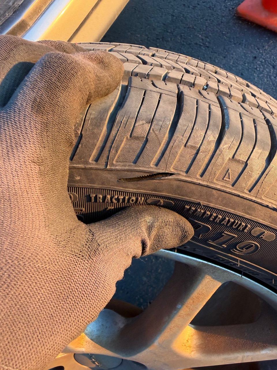 Gloved hand holding a flat tire to show a clean cut in the sidewall, just above the tread grade markings