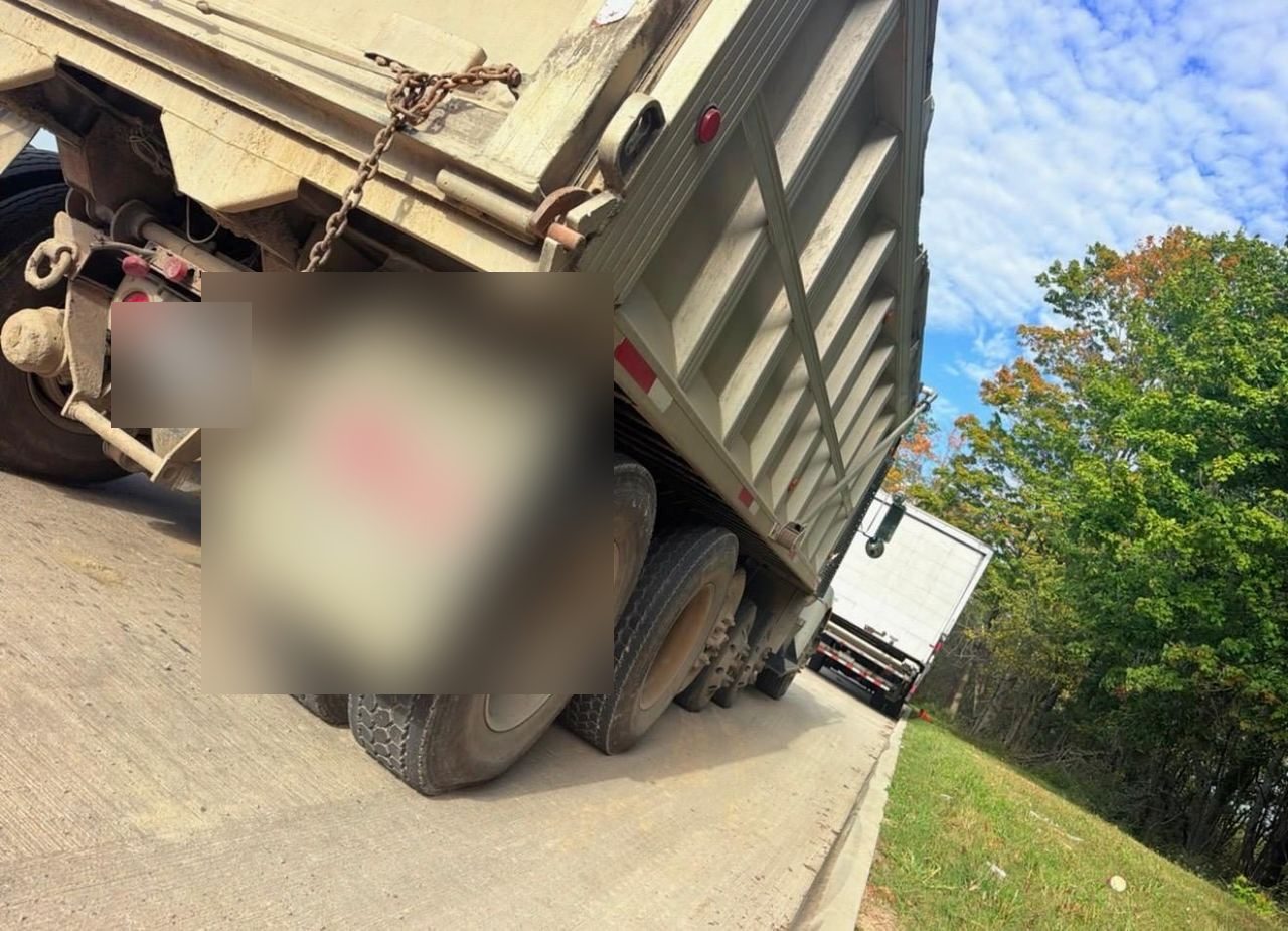 Rear of a loaded dump truck on a concrete roadside, a box truck parked beyond it by the trees
