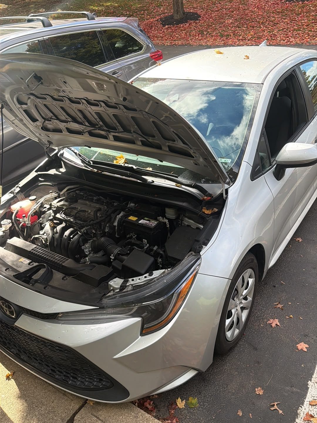 Toyota Corolla with the hood open in a parking lot, battery and terminals visible in the engine bay